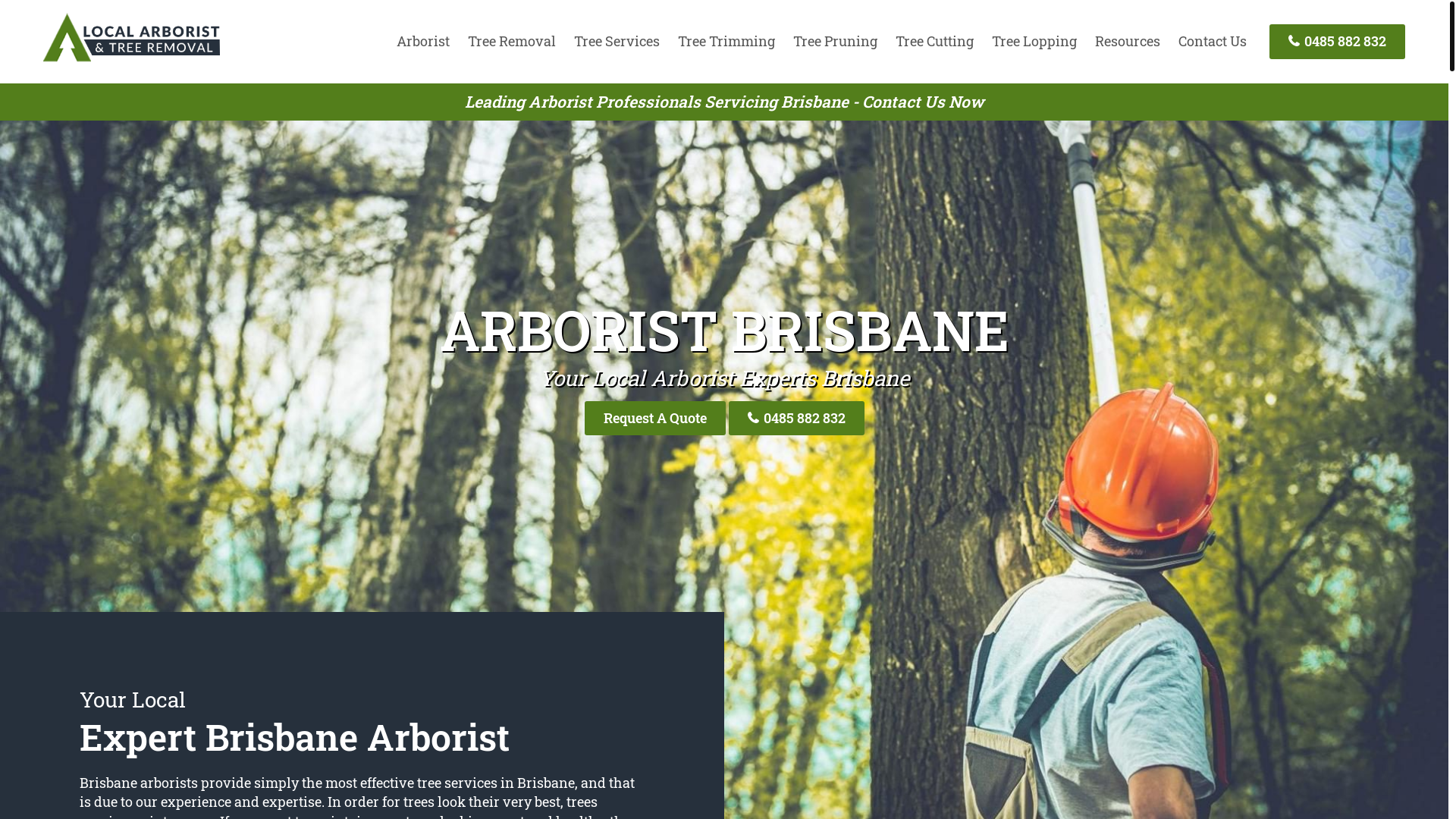 website screenshot of https://treeservicesbrisbaneqld-com-au.pages.dev/