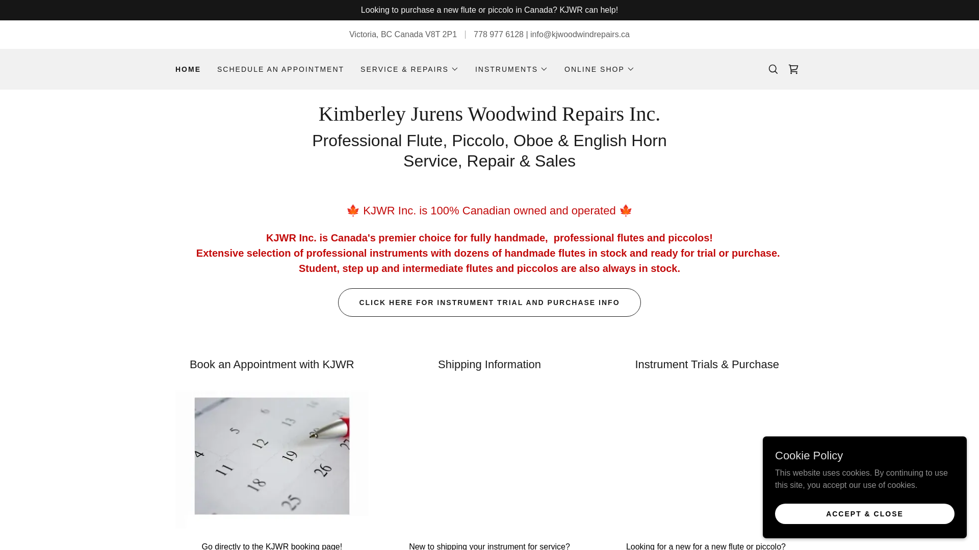 website screenshot of https://fluterepair.ca