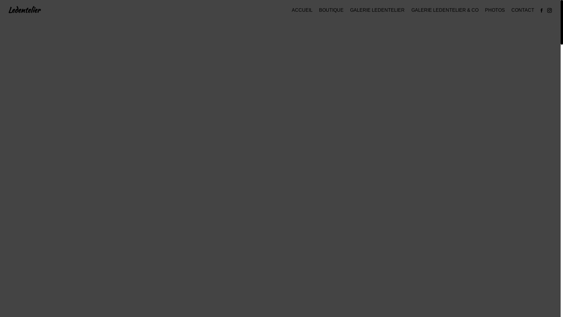 website screenshot of https://ledentelier-43.fr/