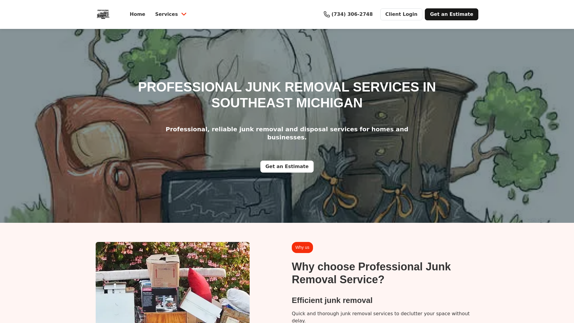 website screenshot of https://projunkservices.com