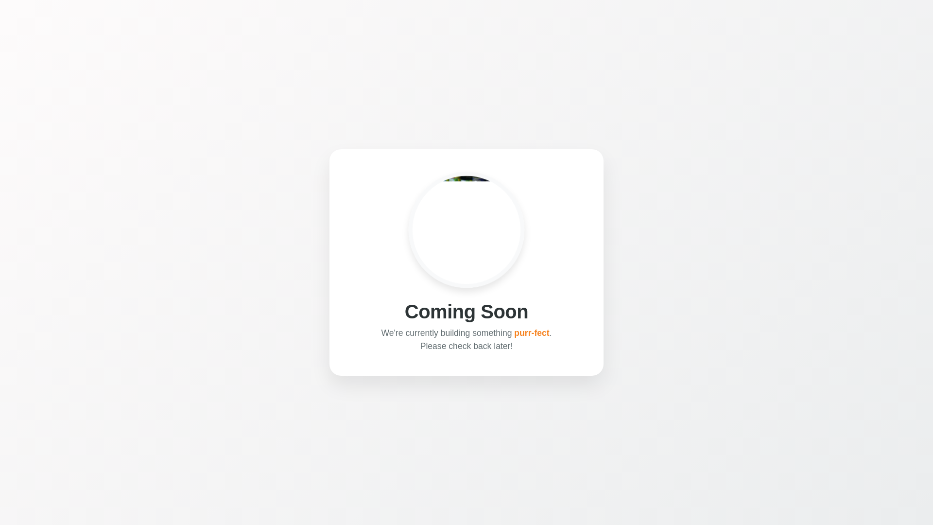 website screenshot of https://subediintl.com/
