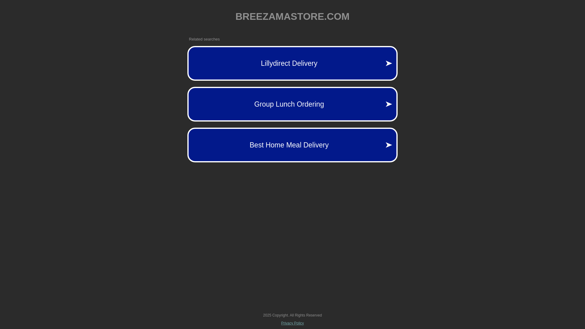 website screenshot of https://breezamastore.com/