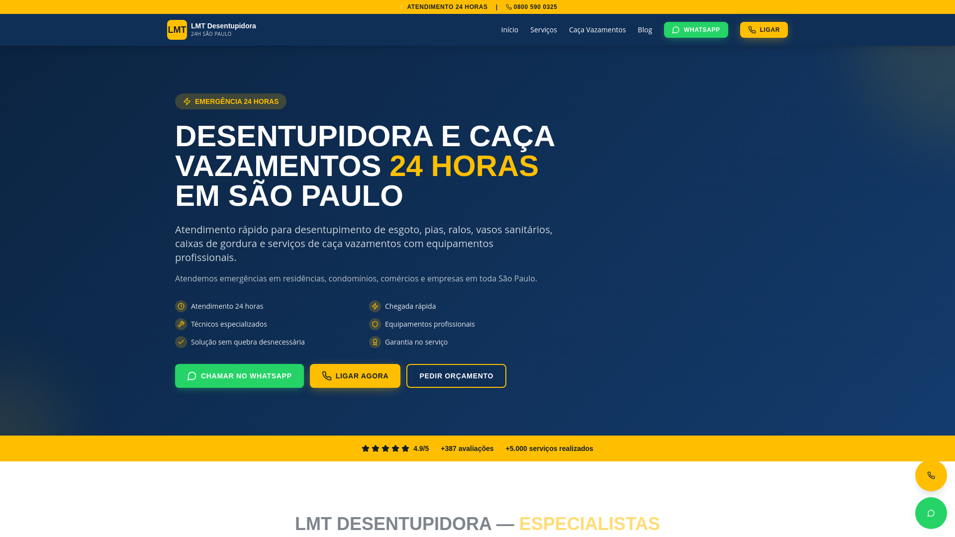 website screenshot of https://lmtdesentupidora.com.br