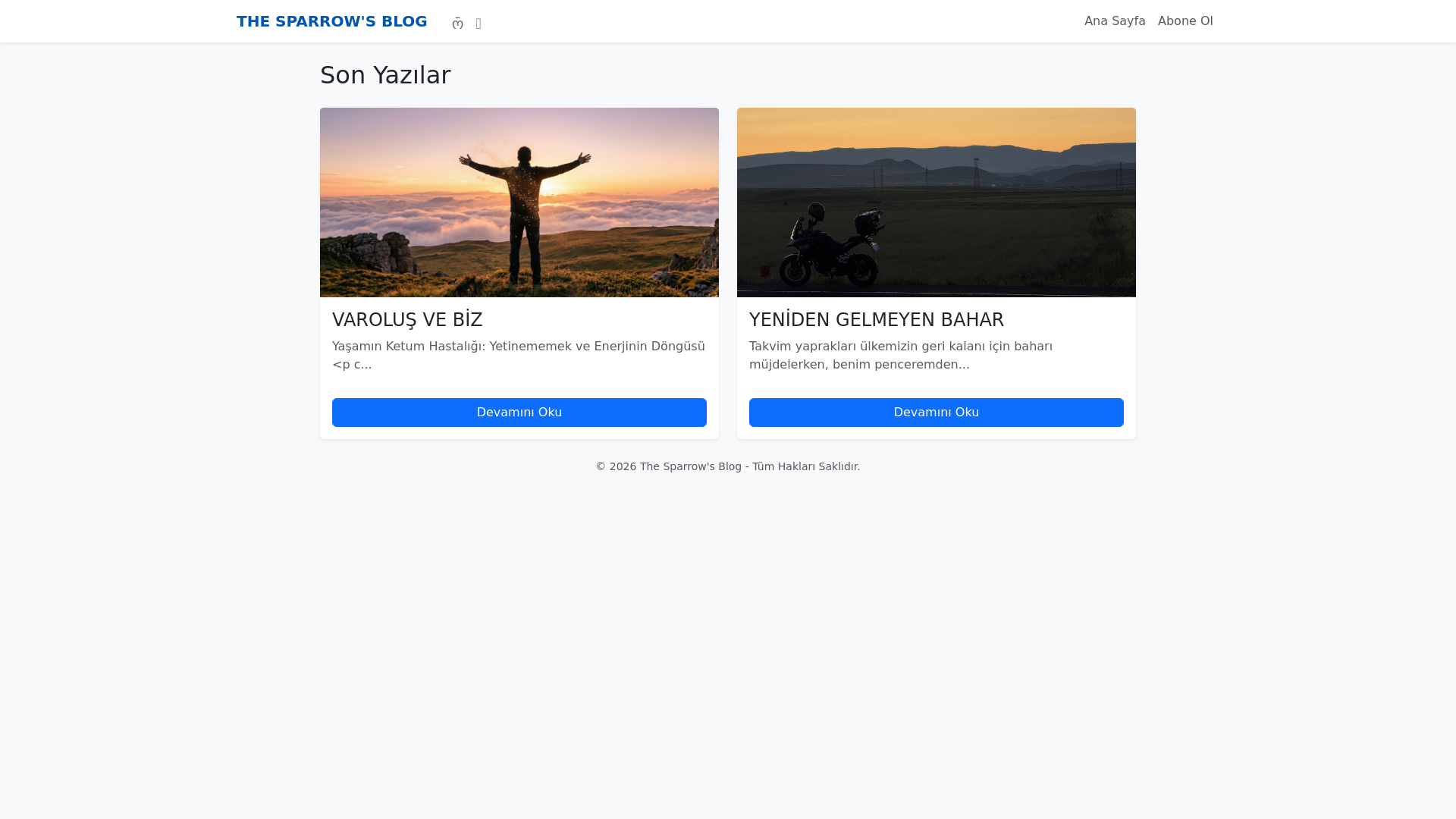 website screenshot of https://thesparrow.com.tr