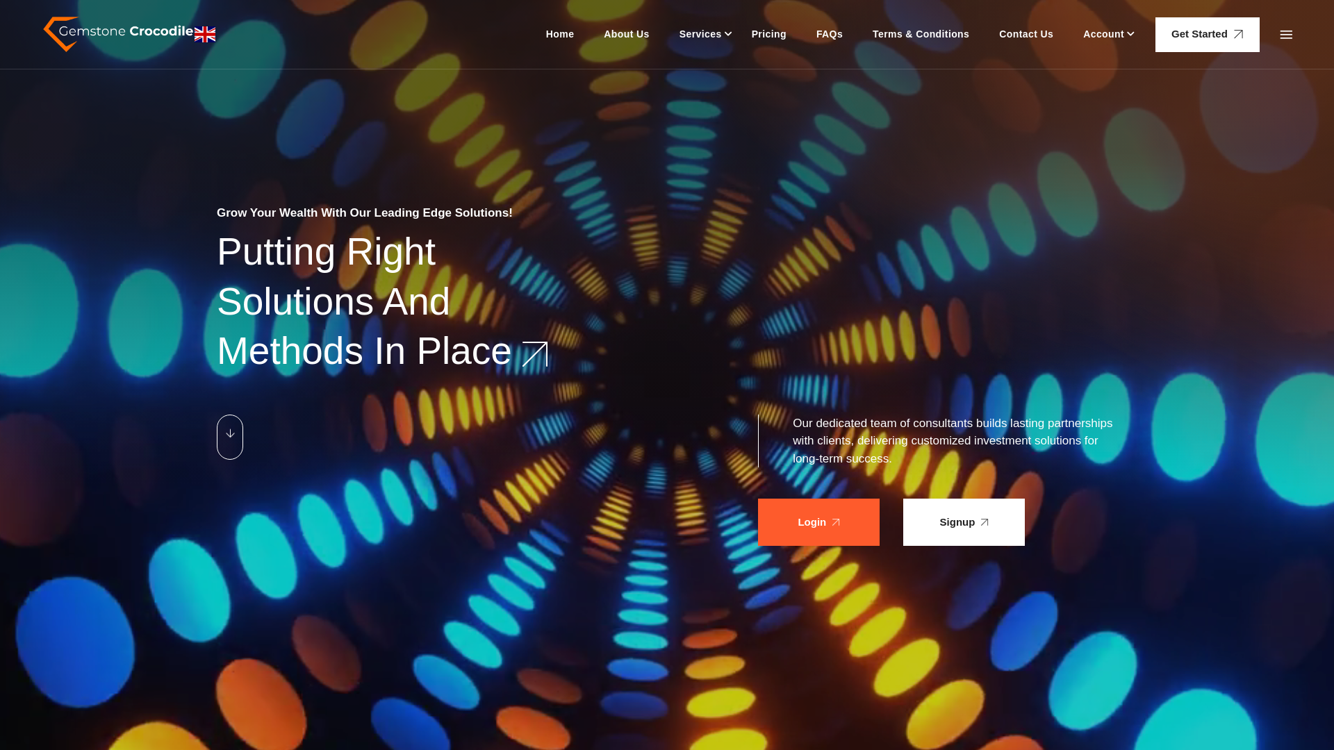 website screenshot of https://gemstonecrocodile.com/