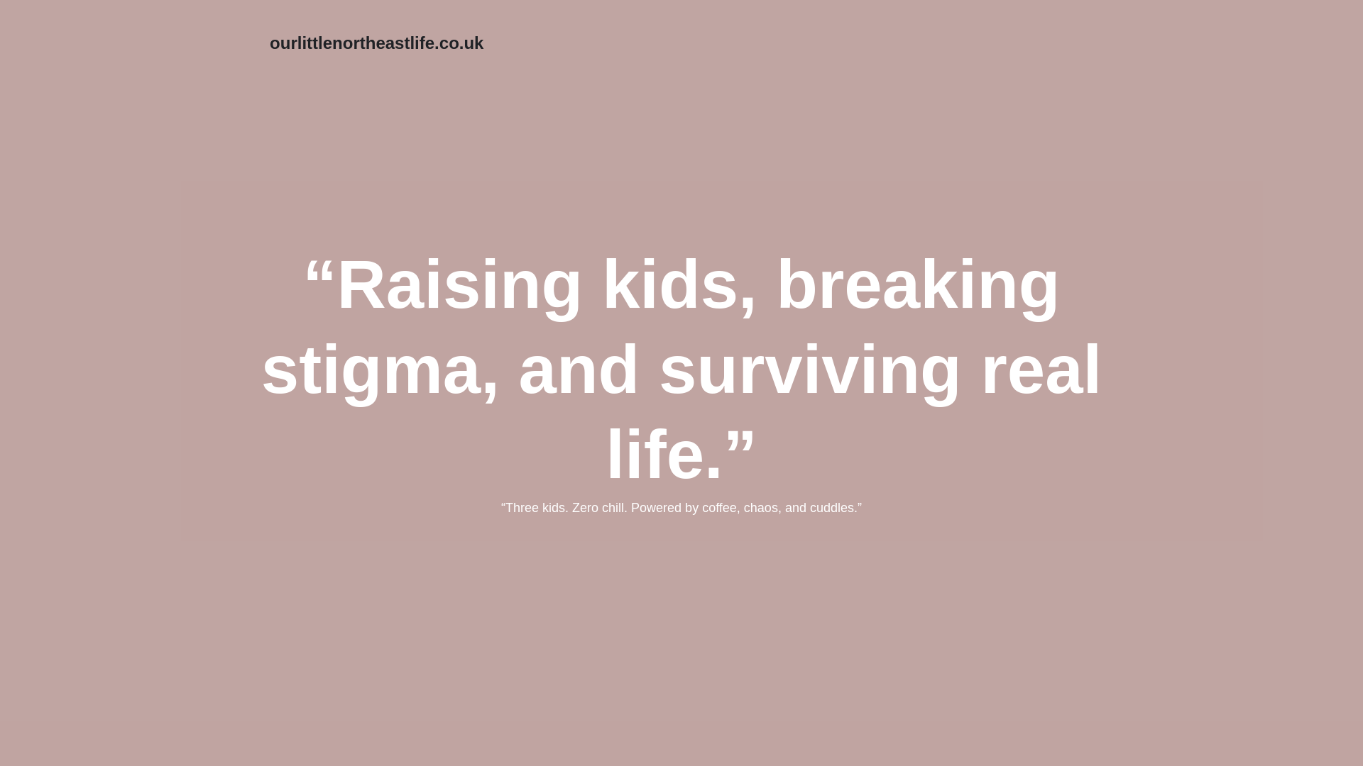 website screenshot of https://ourlittlenortheastlife.co.uk