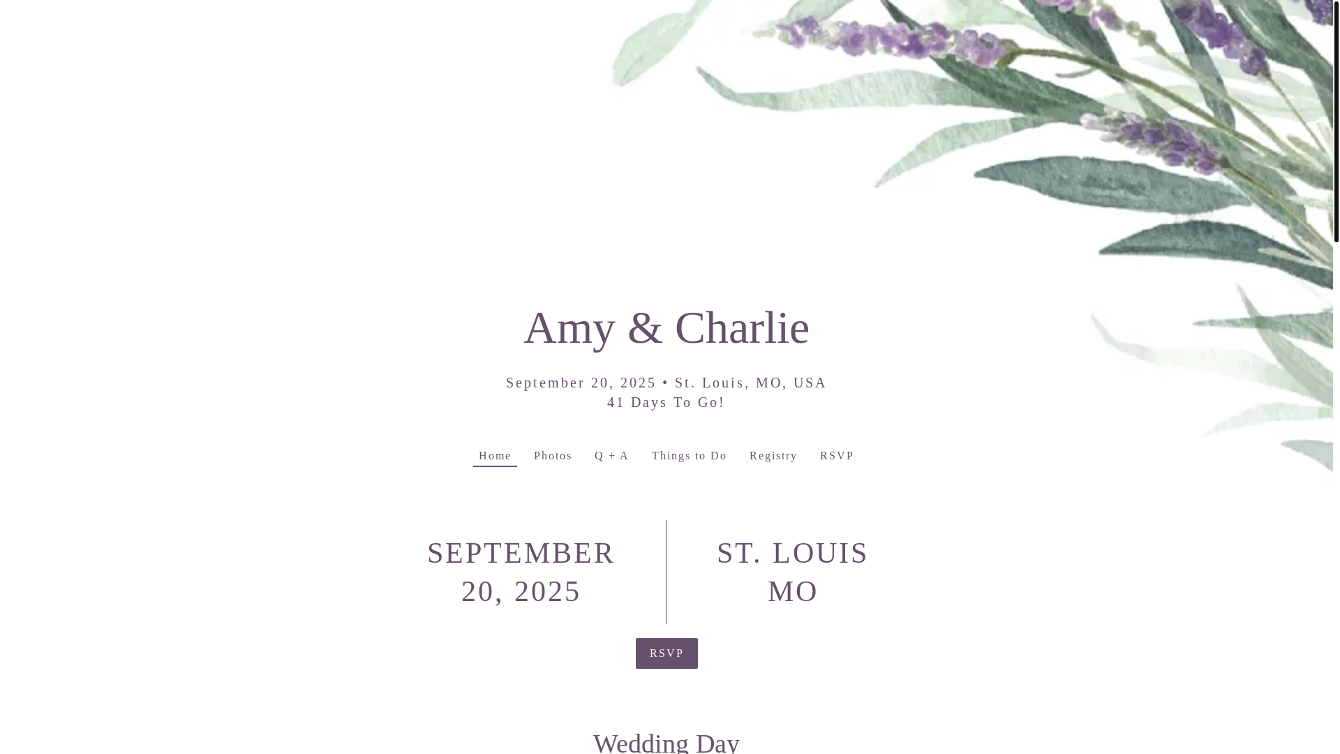website screenshot of https://amyandcharlie2025.com/