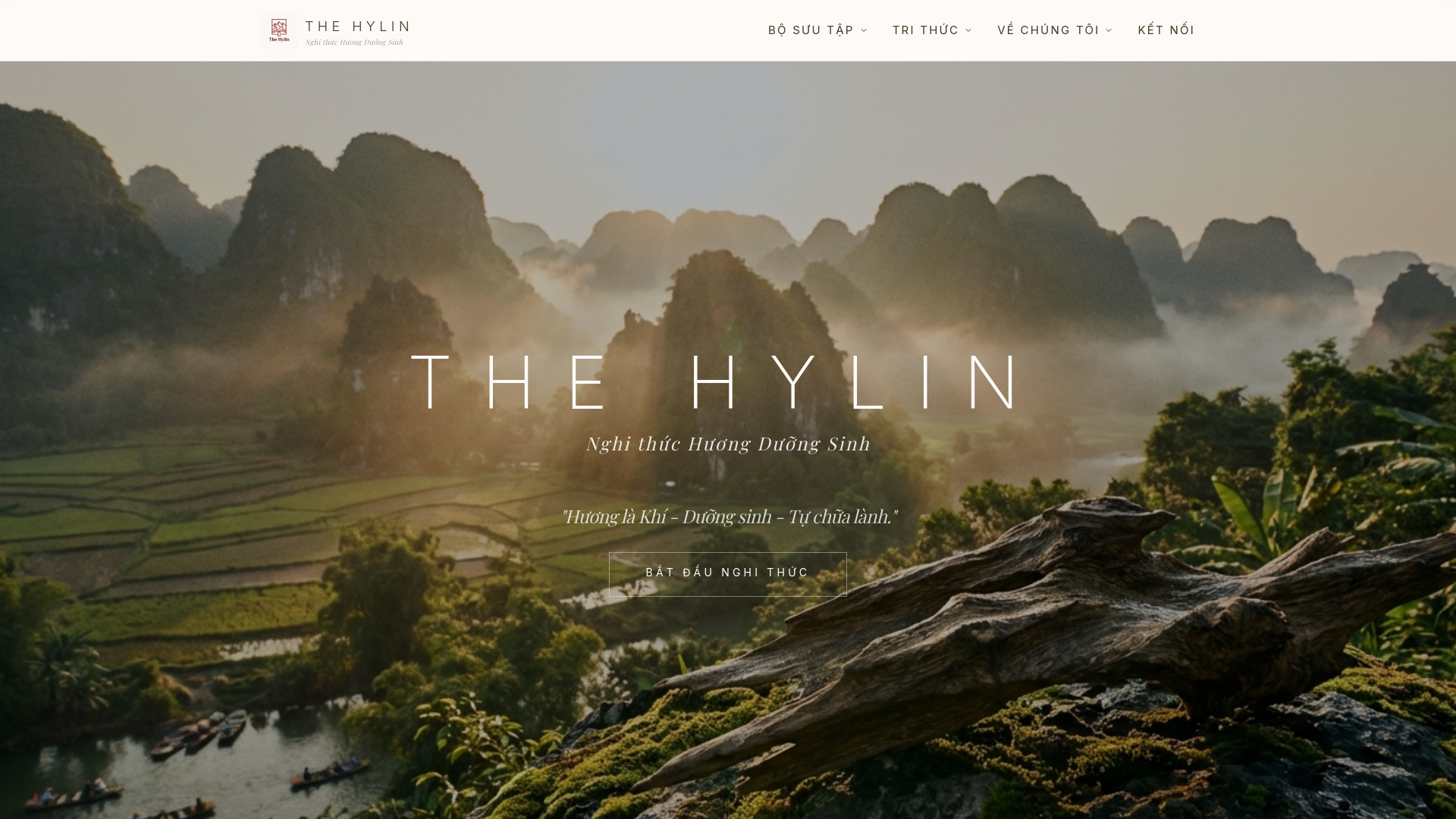 website screenshot of https://thehylin.com/