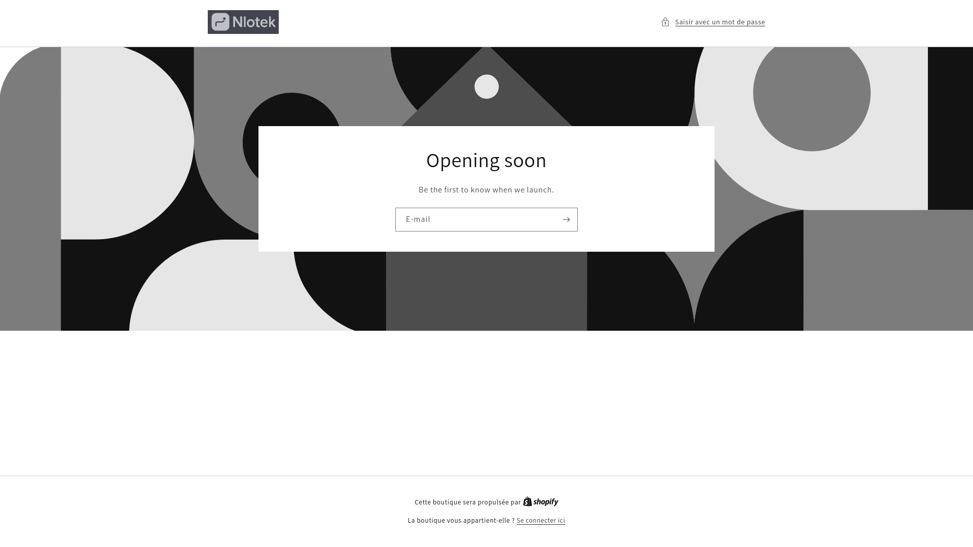 website screenshot of https://nloteyk.net/