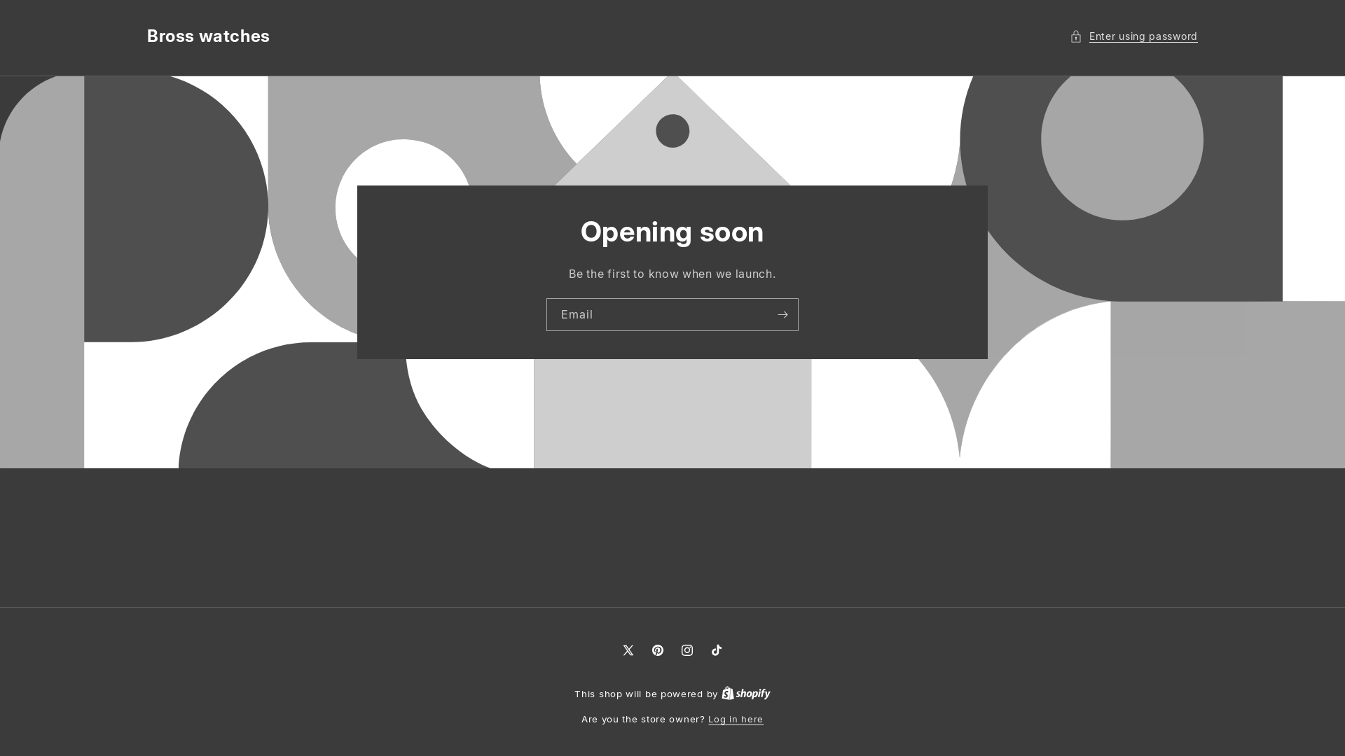 website screenshot of https://brosswatches.com/