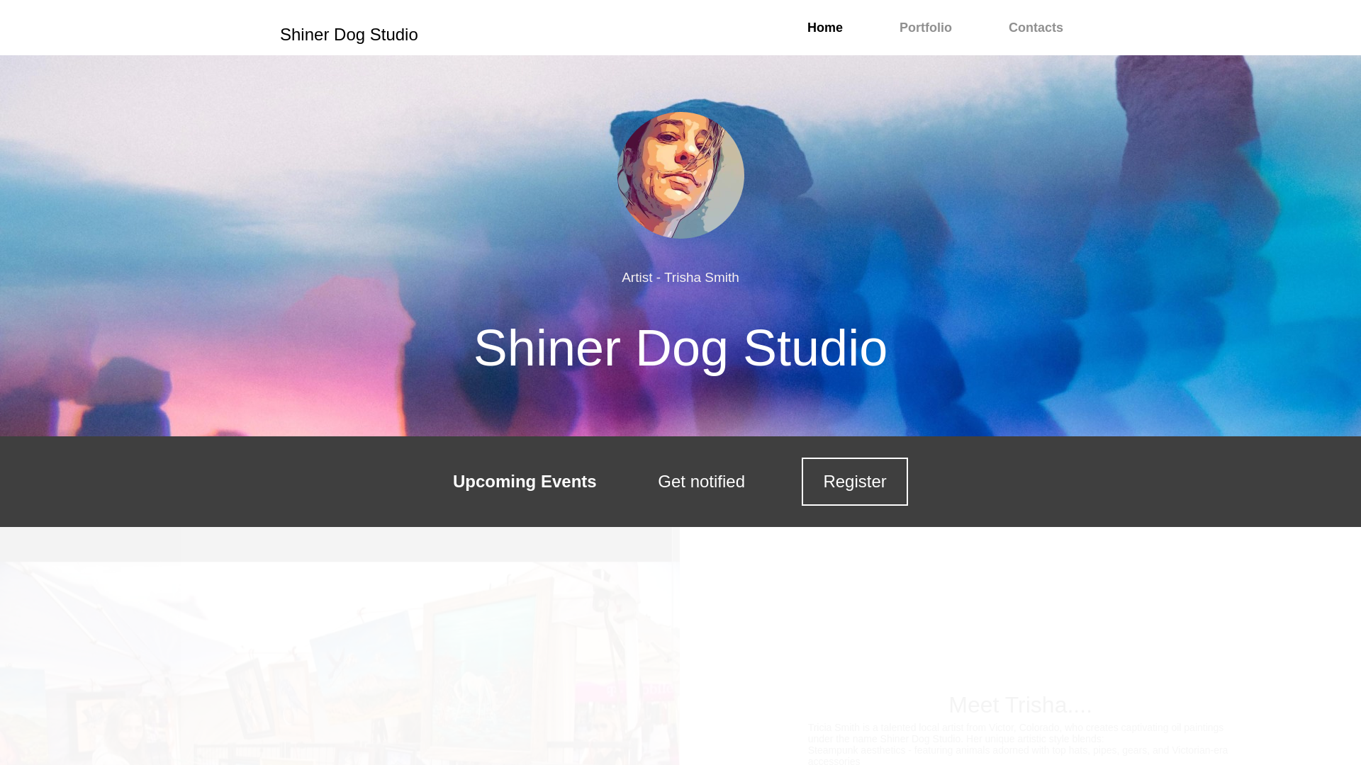 website screenshot of https://shinerdogstudios.com/