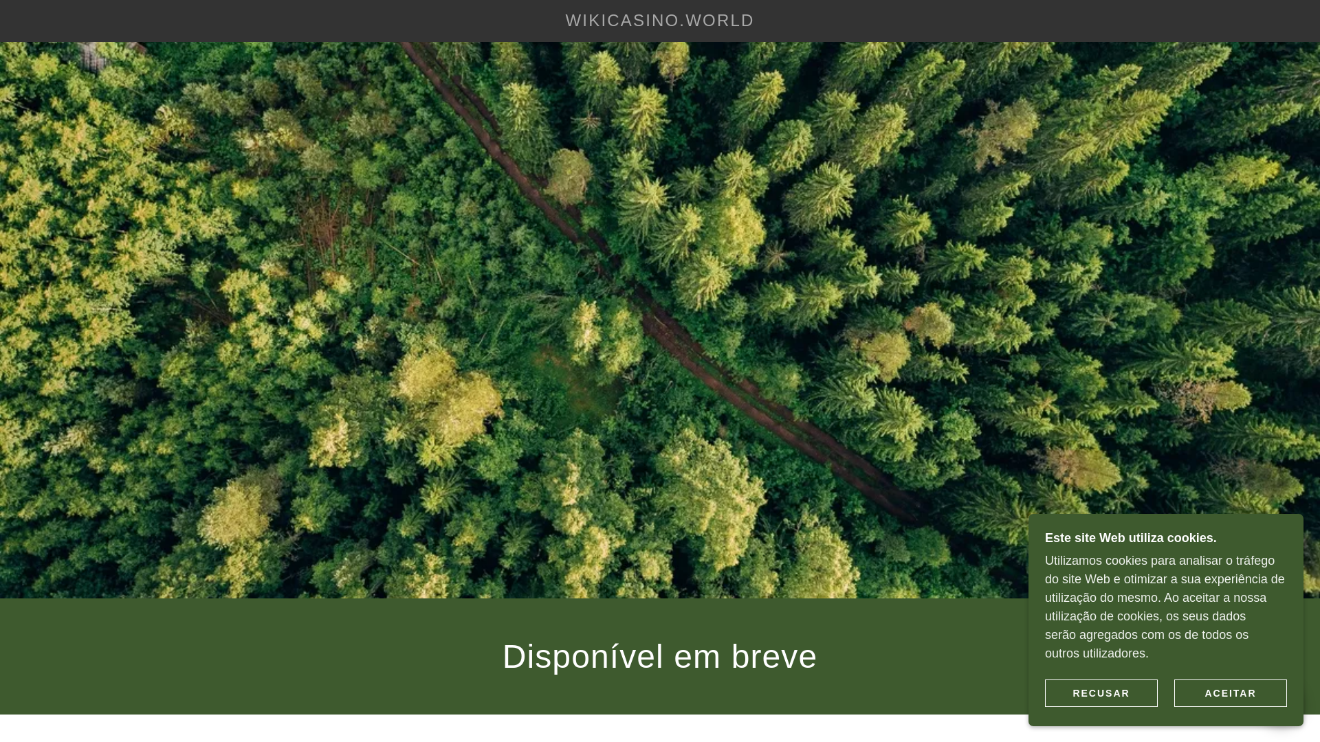 website screenshot of https://wikicasino.world/