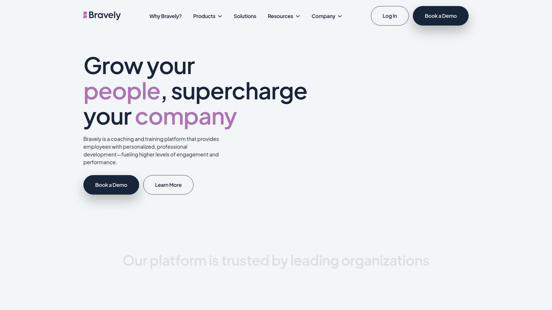 website screenshot of https://bravelysuite.com/