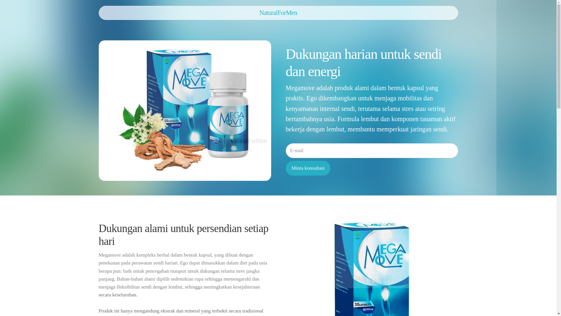 website screenshot of https://naturalformenc.info/