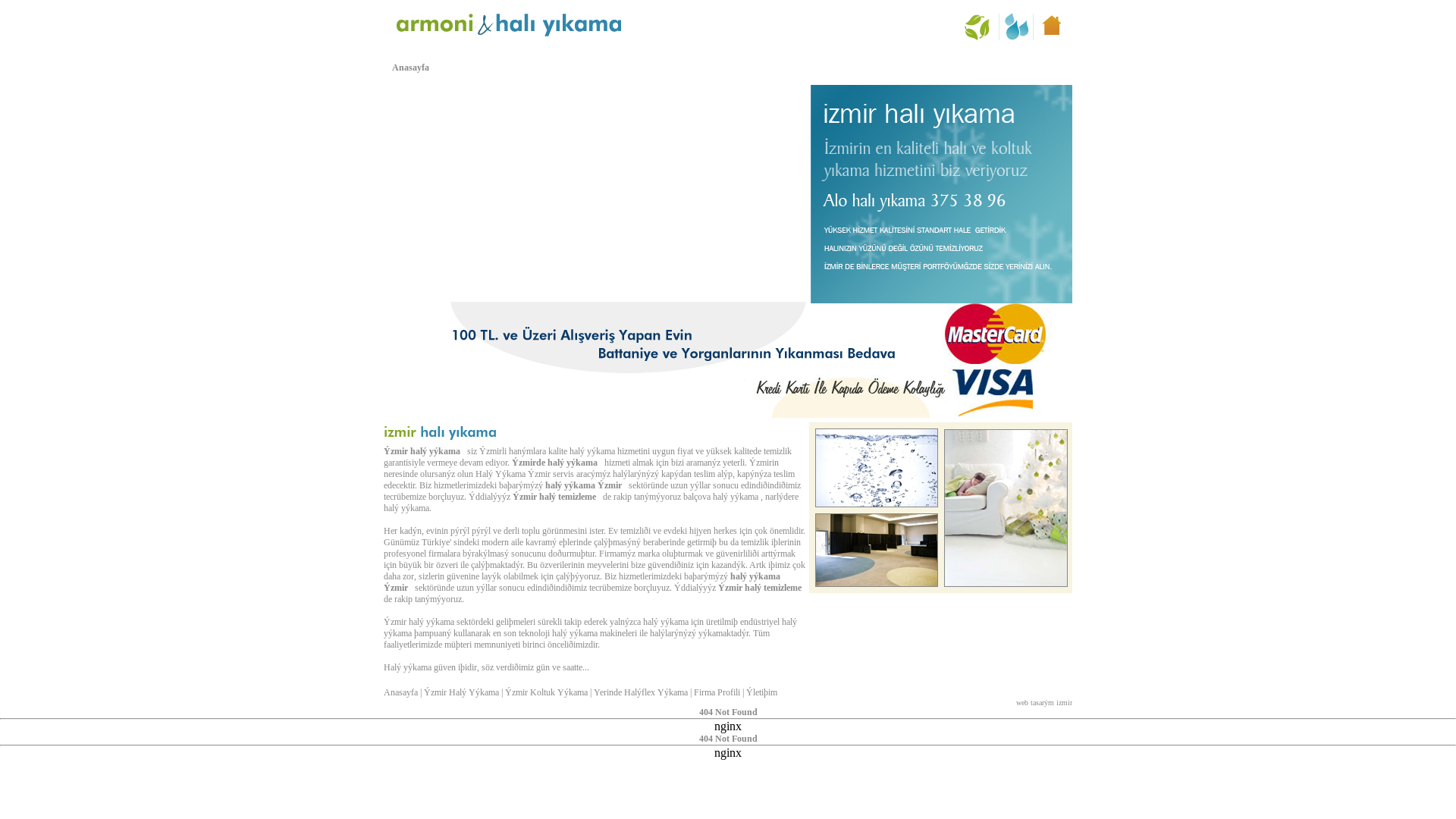 website screenshot of https://izmirhali-yikama.com/
