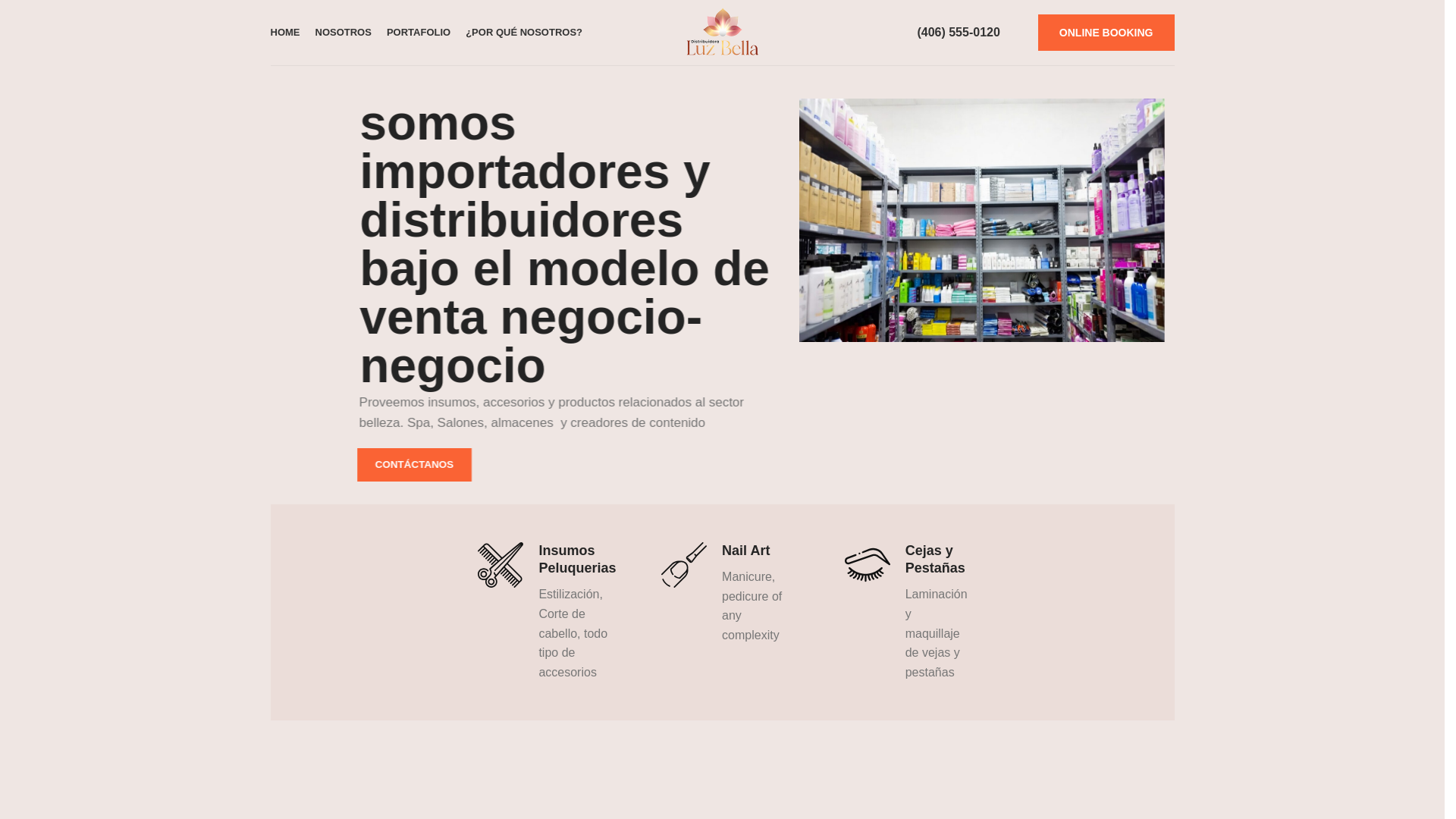 website screenshot of https://distribuidoraluzbella.com/