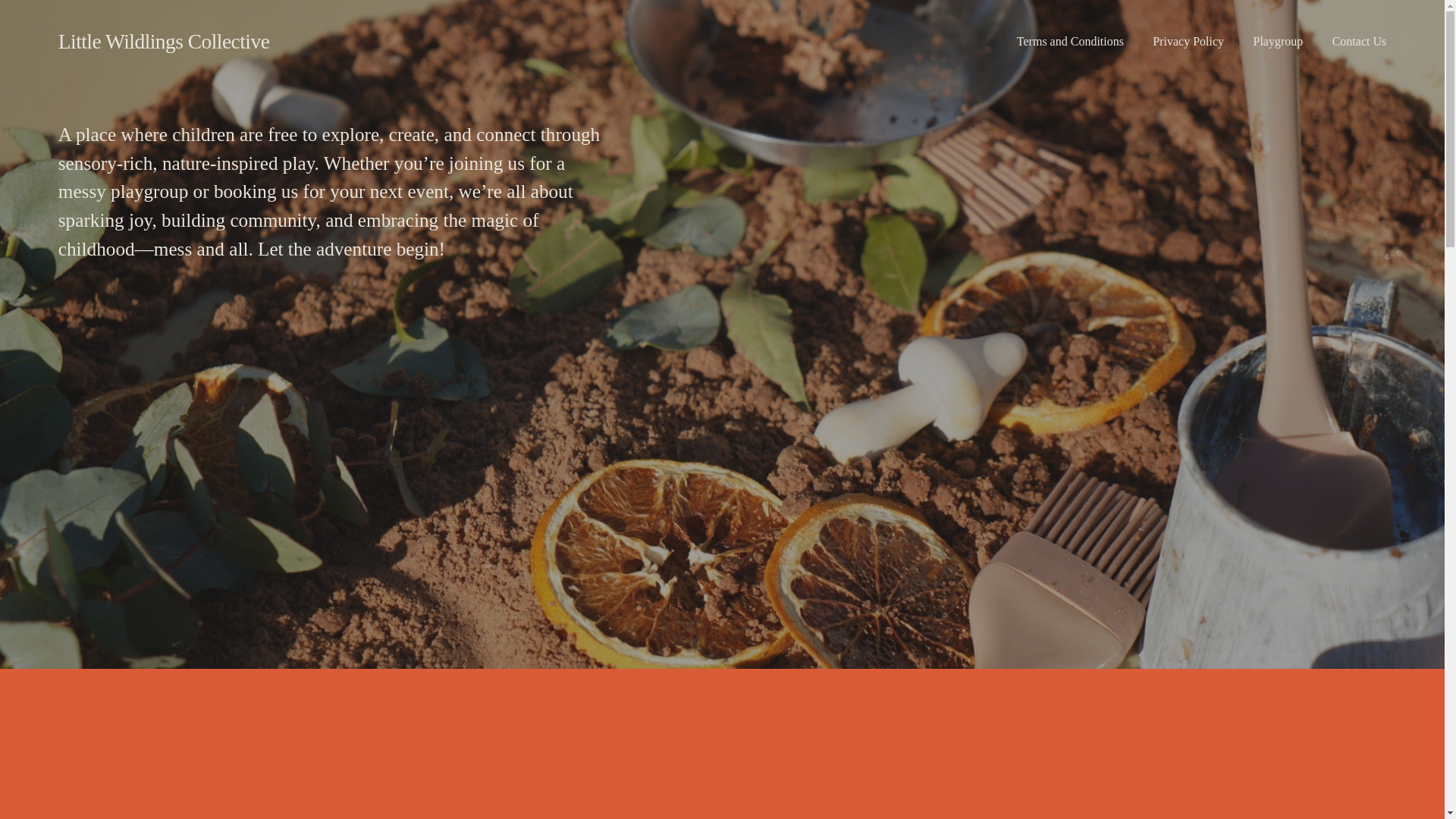 website screenshot of https://littlewildlingscollective.com.au/