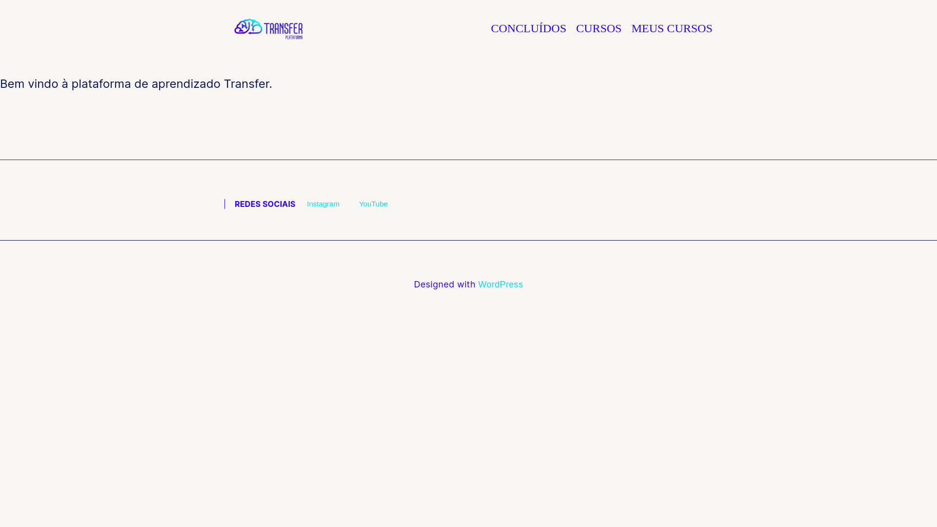 website screenshot of https://plataformatransfer.com.br/