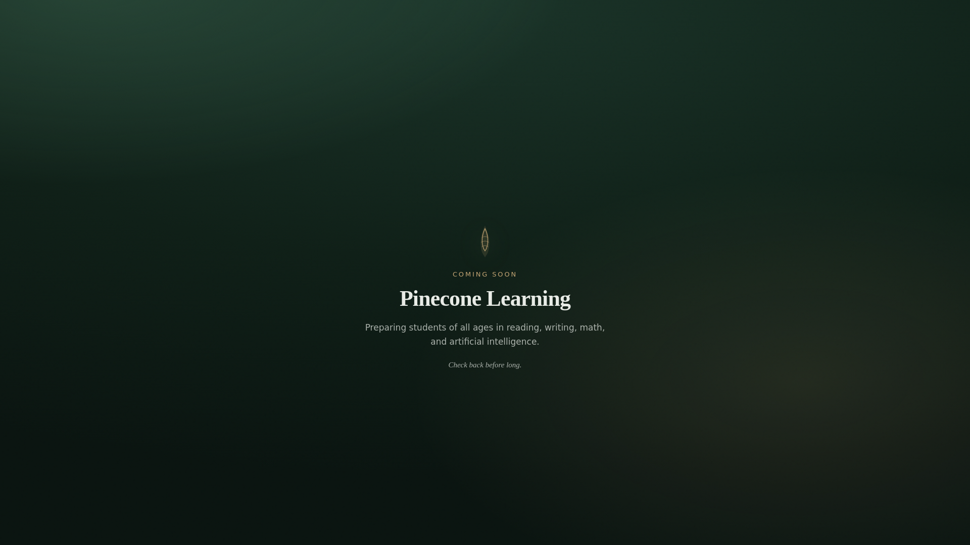 website screenshot of https://pinecone-learning.pages.dev/