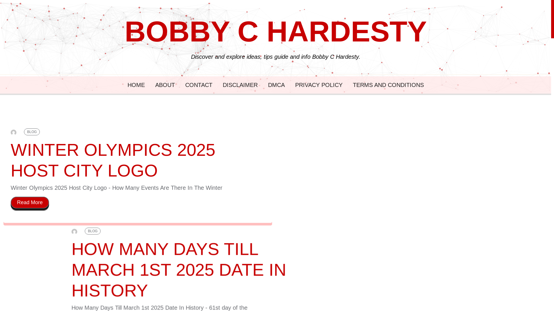 website screenshot of https://bobbychardestya.pages.dev/