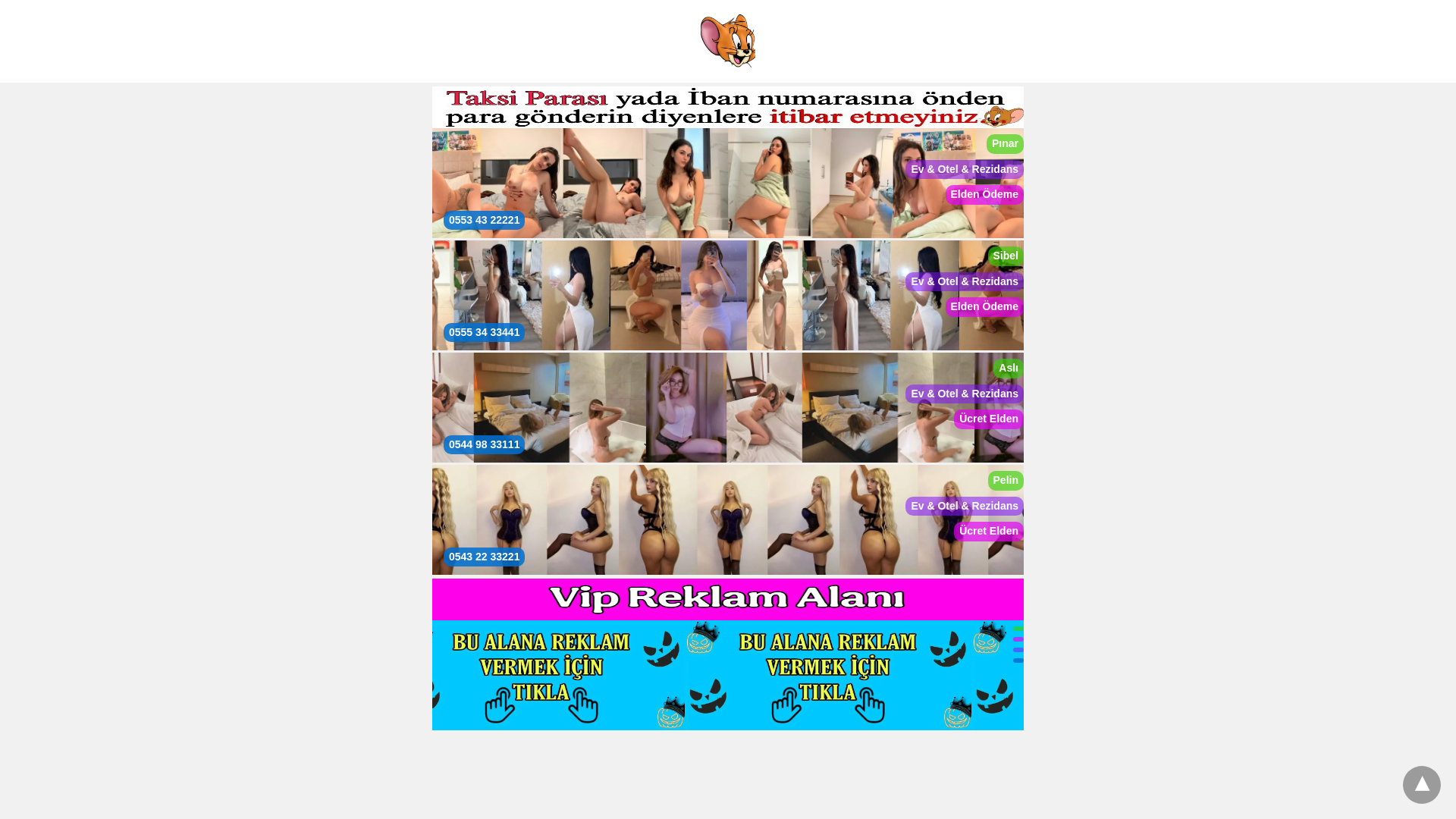 website screenshot of https://bayanescortmersin.site/