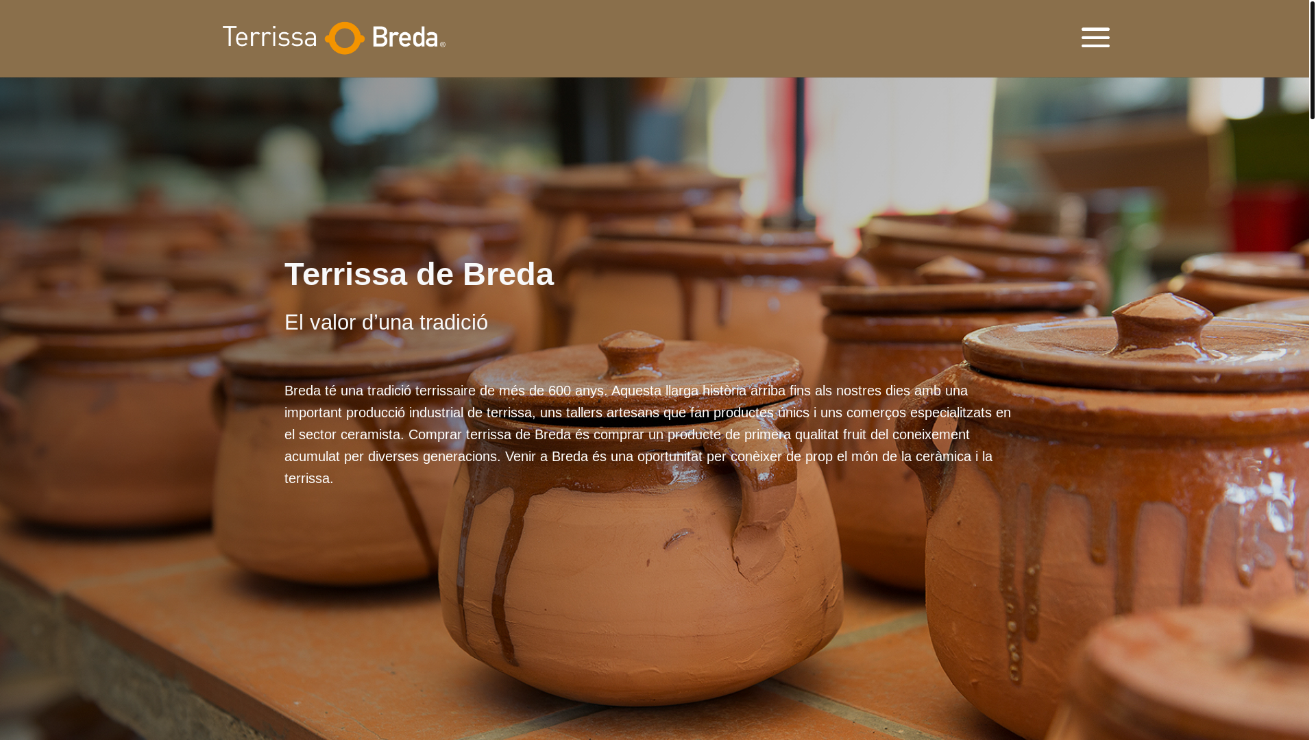website screenshot of https://terrissadebreda.cat/