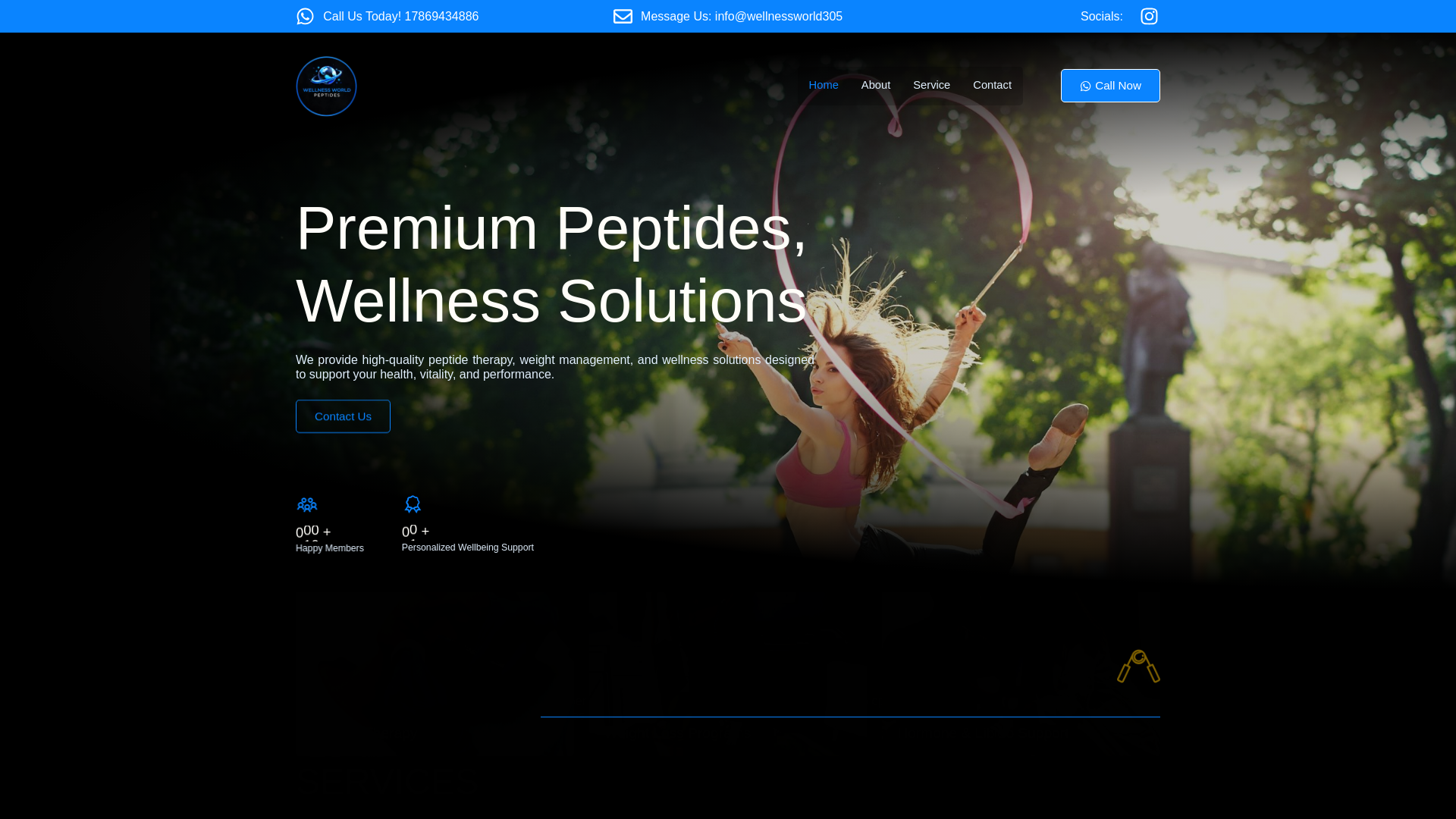 website screenshot of https://wellnessworld305.com