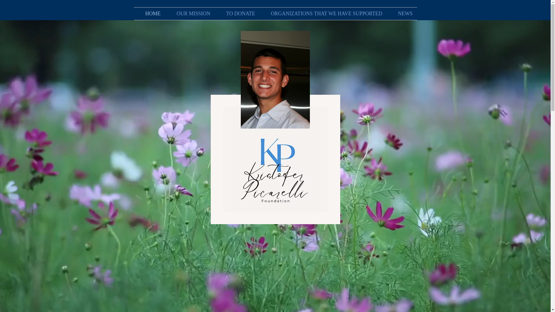 website screenshot of https://kristoferpicarellifoundation.com/
