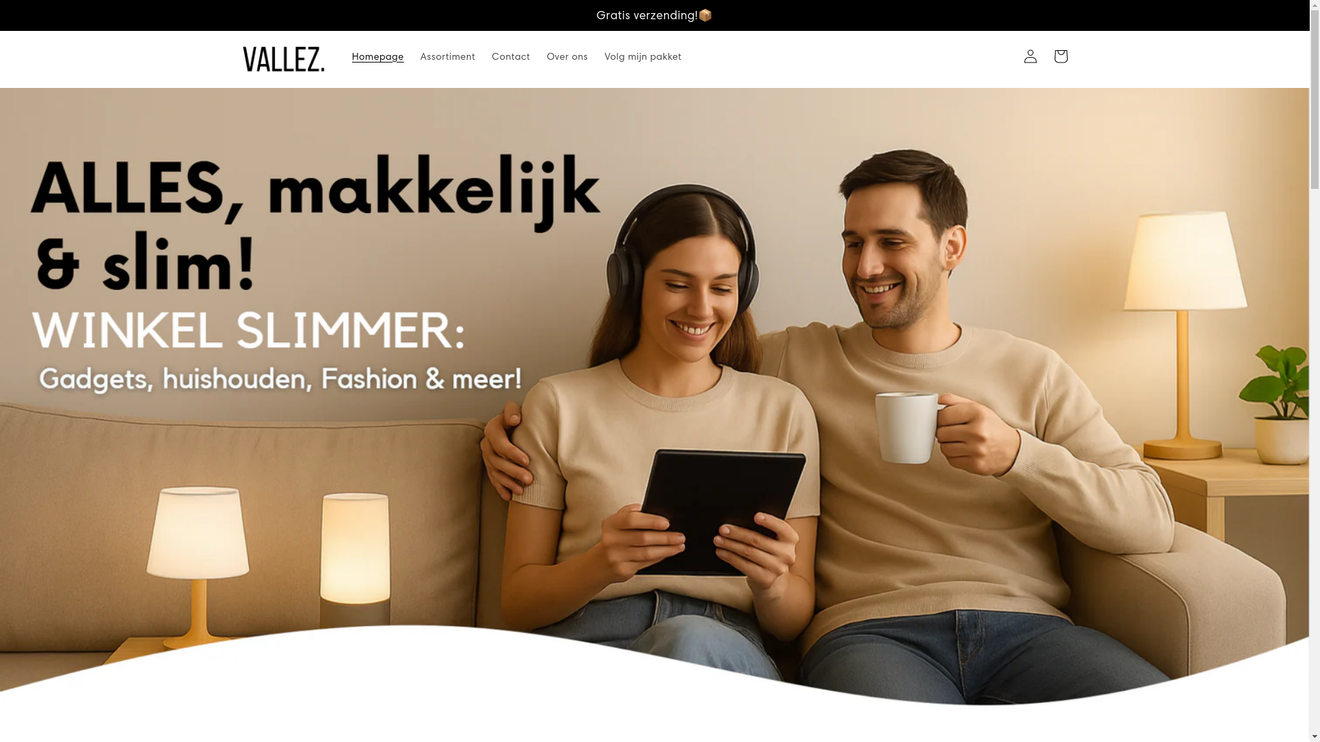 website screenshot of https://vallez.nl/