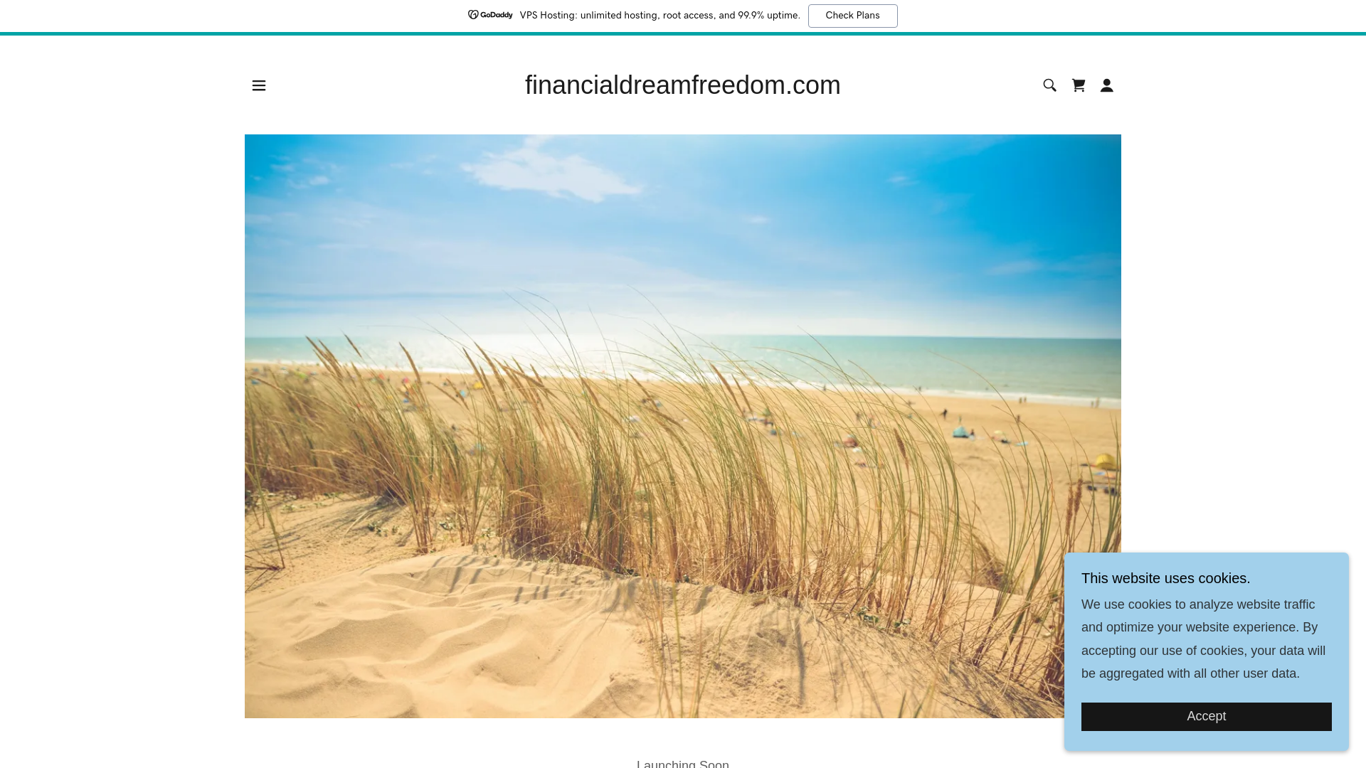 website screenshot of https://financialdreamfreedom.com/