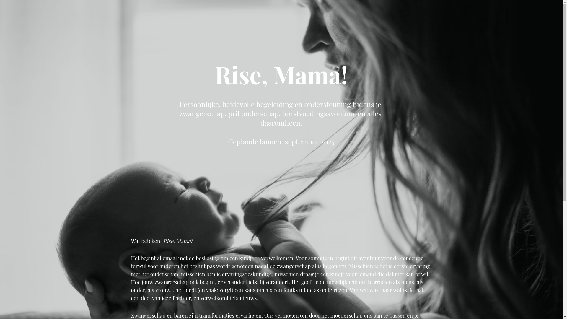 website screenshot of https://risemama.nl/