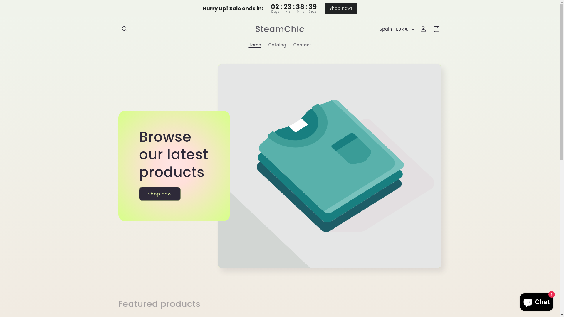 website screenshot of https://steamchic.shop/