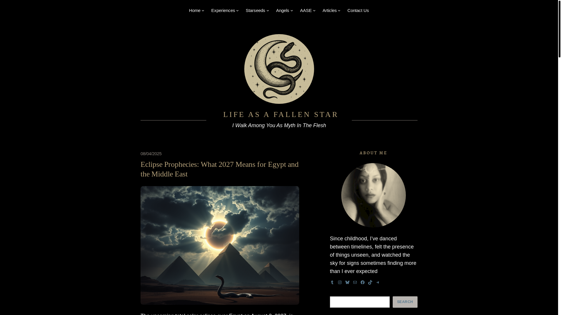 website screenshot of https://lifeasafallenstar.com/