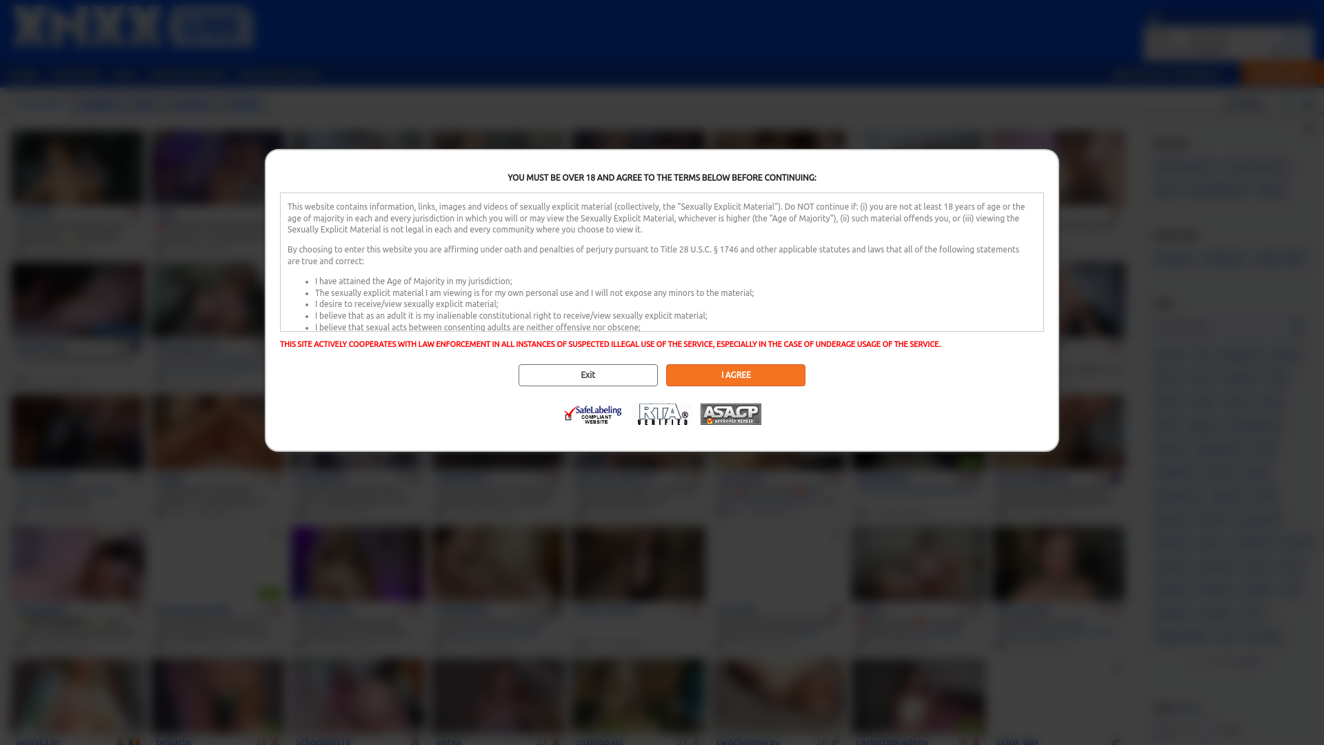 website screenshot of https://www.xnxx-livecams.com