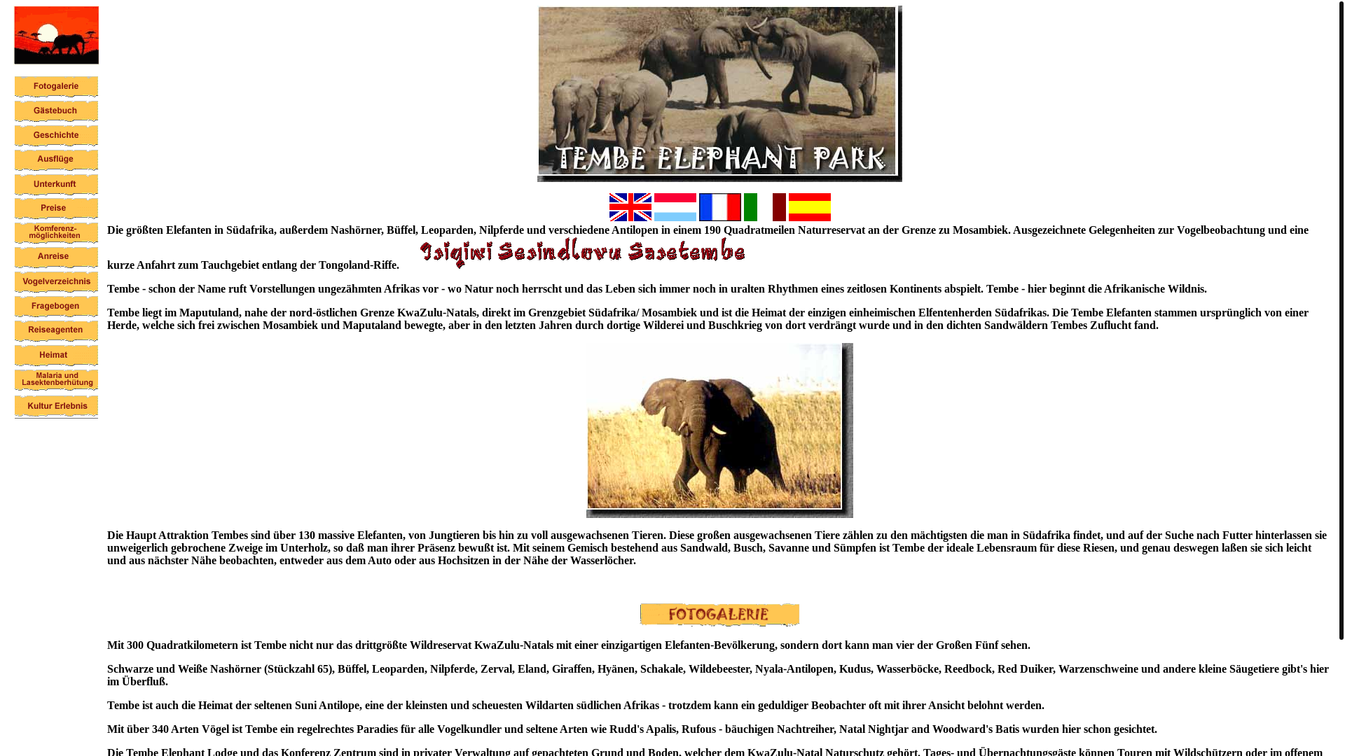 website screenshot of https://afrika-elefanten.pages.dev/