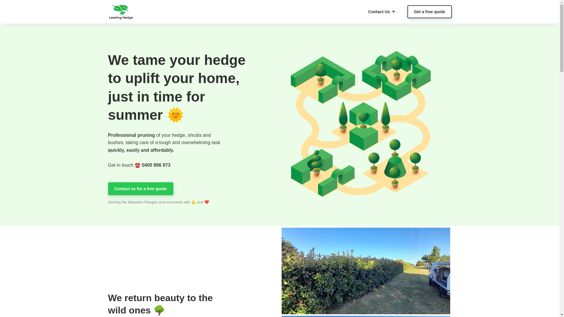 website screenshot of https://leadinghedge.online/