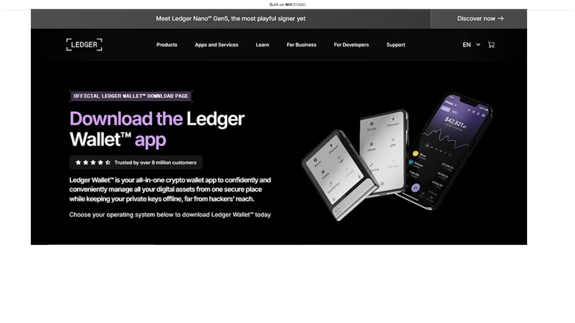 website screenshot of https://ladgerr.wixstudio.com/us-en