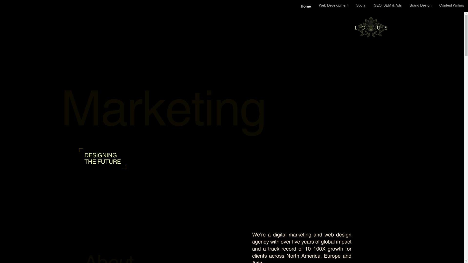 website screenshot of https://lotusimpact.in/