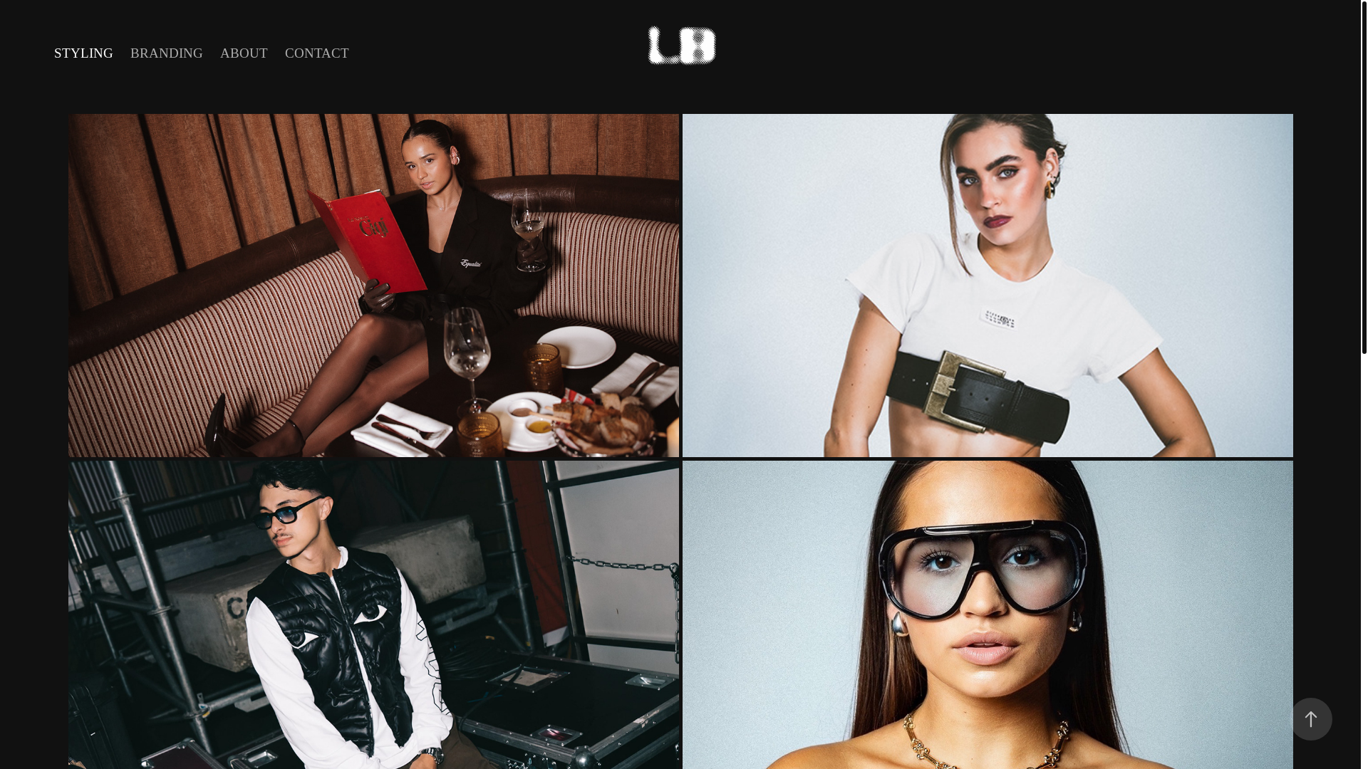 website screenshot of https://lbstudios.nl/