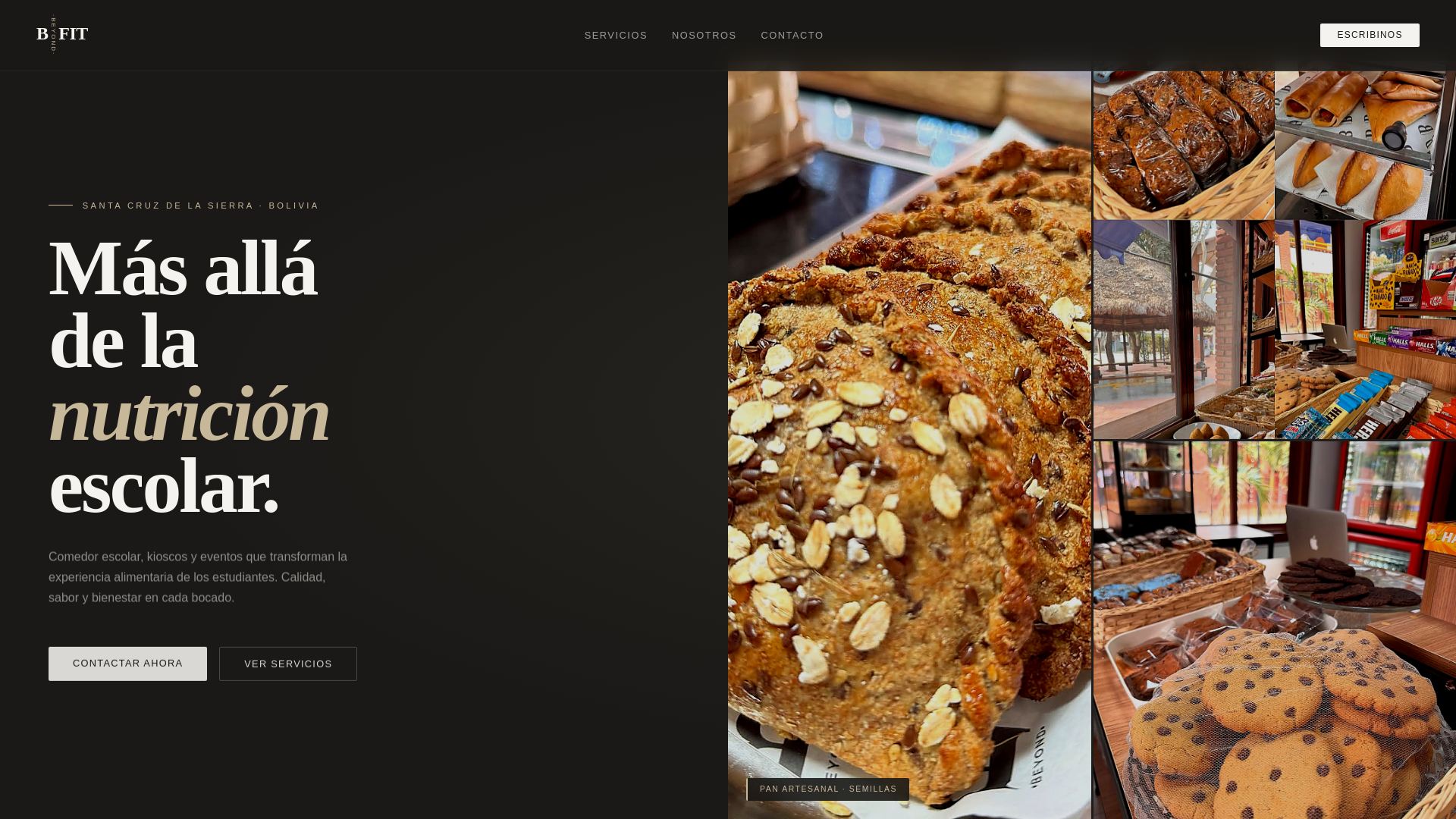 website screenshot of https://bfit-bo.org/