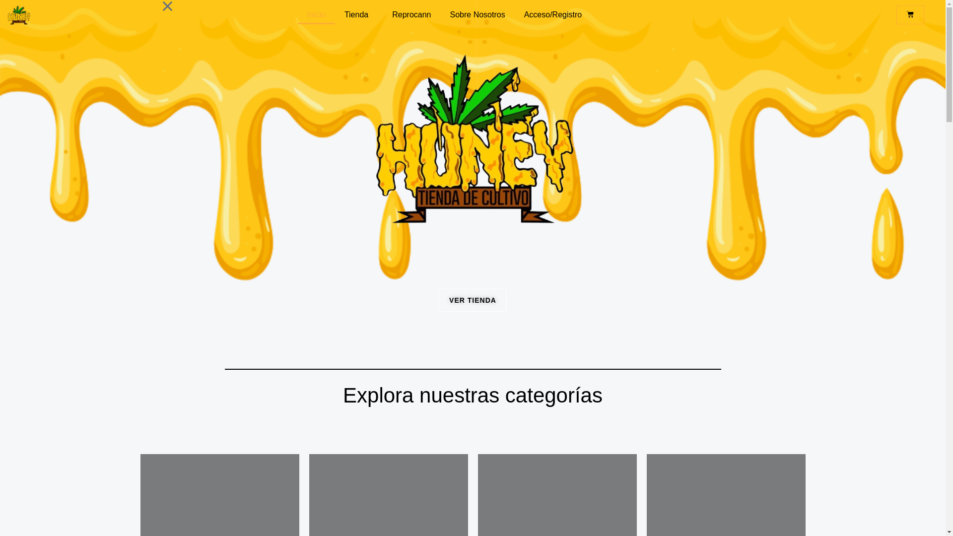 website screenshot of https://honeytdc.org/