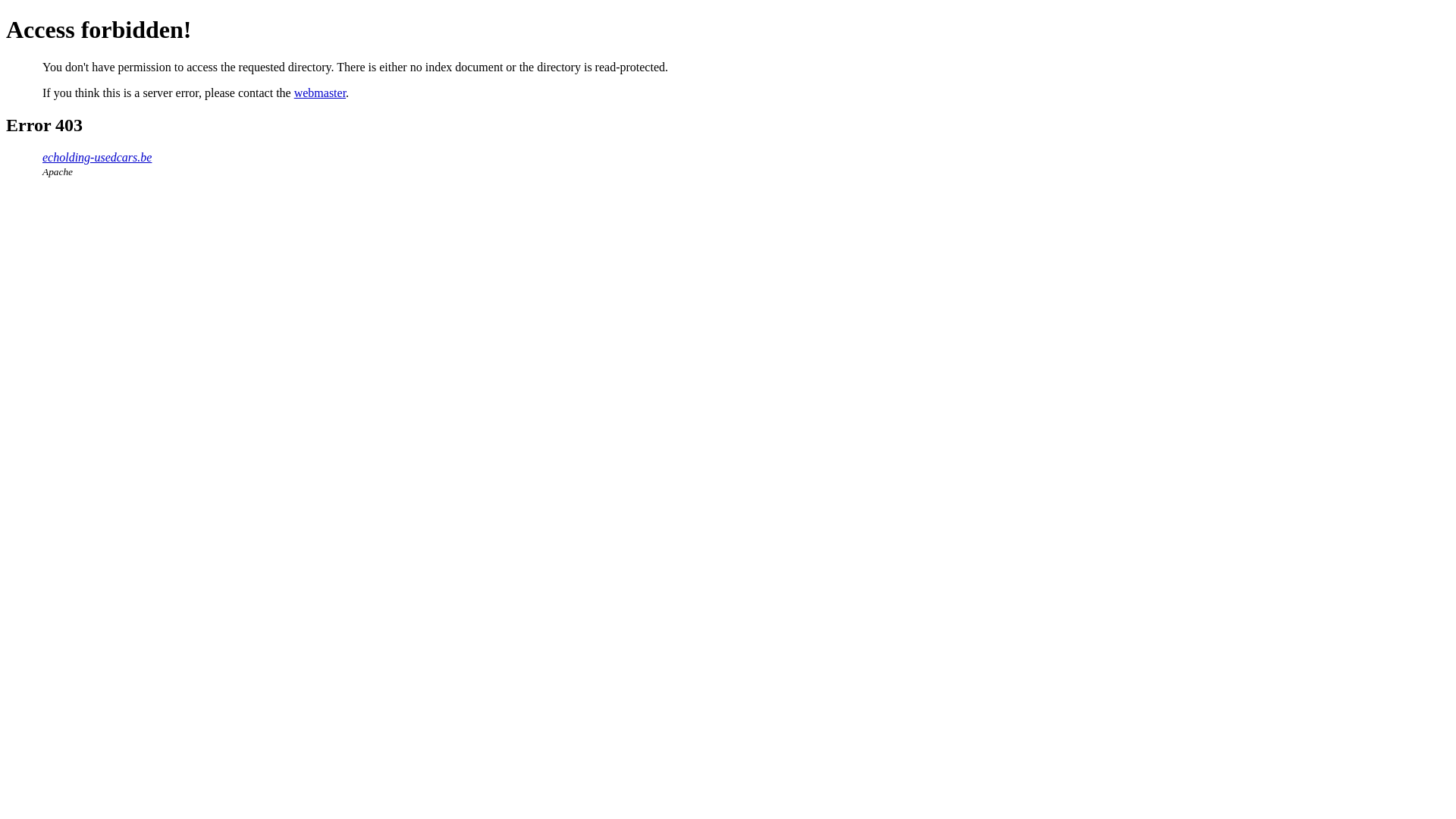 website screenshot of https://echolding-usedcars.be/