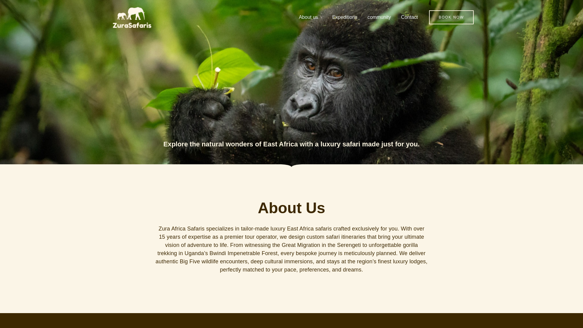 website screenshot of https://zurasafaris.com/