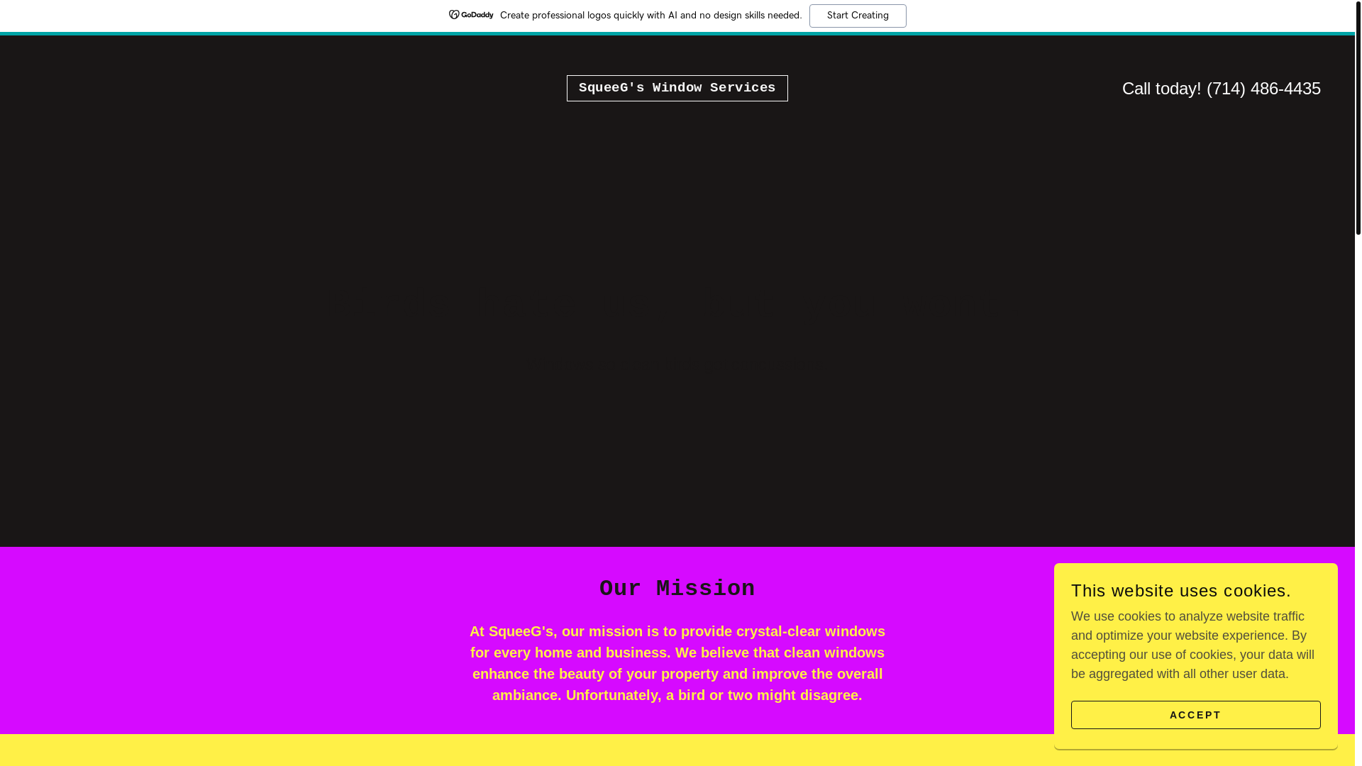 website screenshot of https://squeegswindowservices.com/