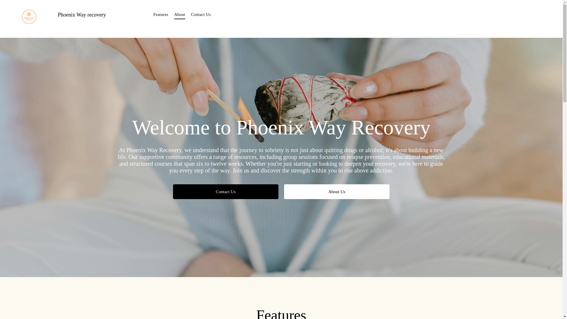 website screenshot of https://phoenixwayrecovery1bizdomain.biz/
