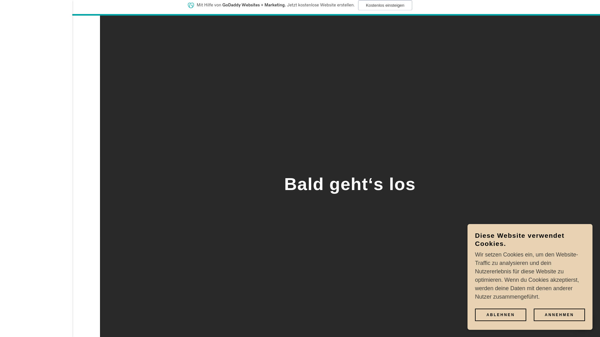 website screenshot of https://opozit.world/