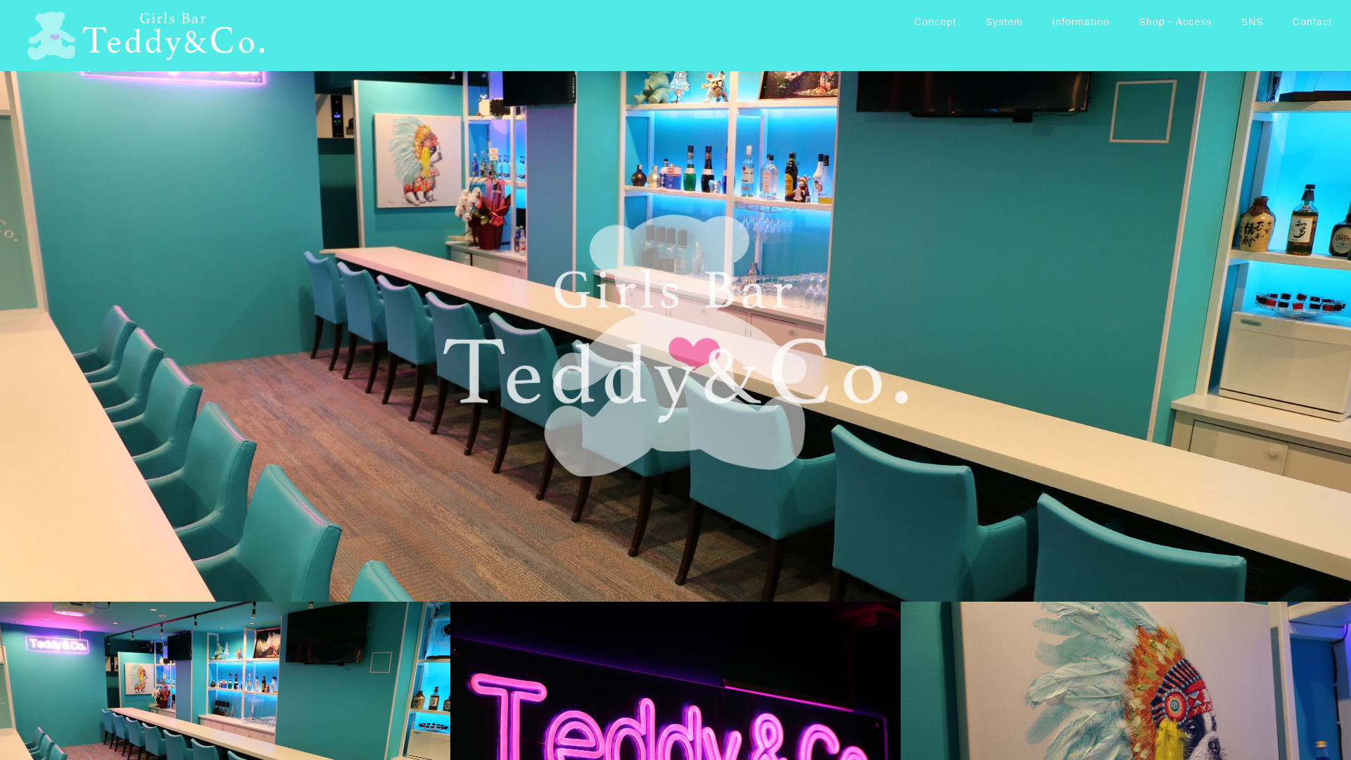 website screenshot of https://teddy-andco.com