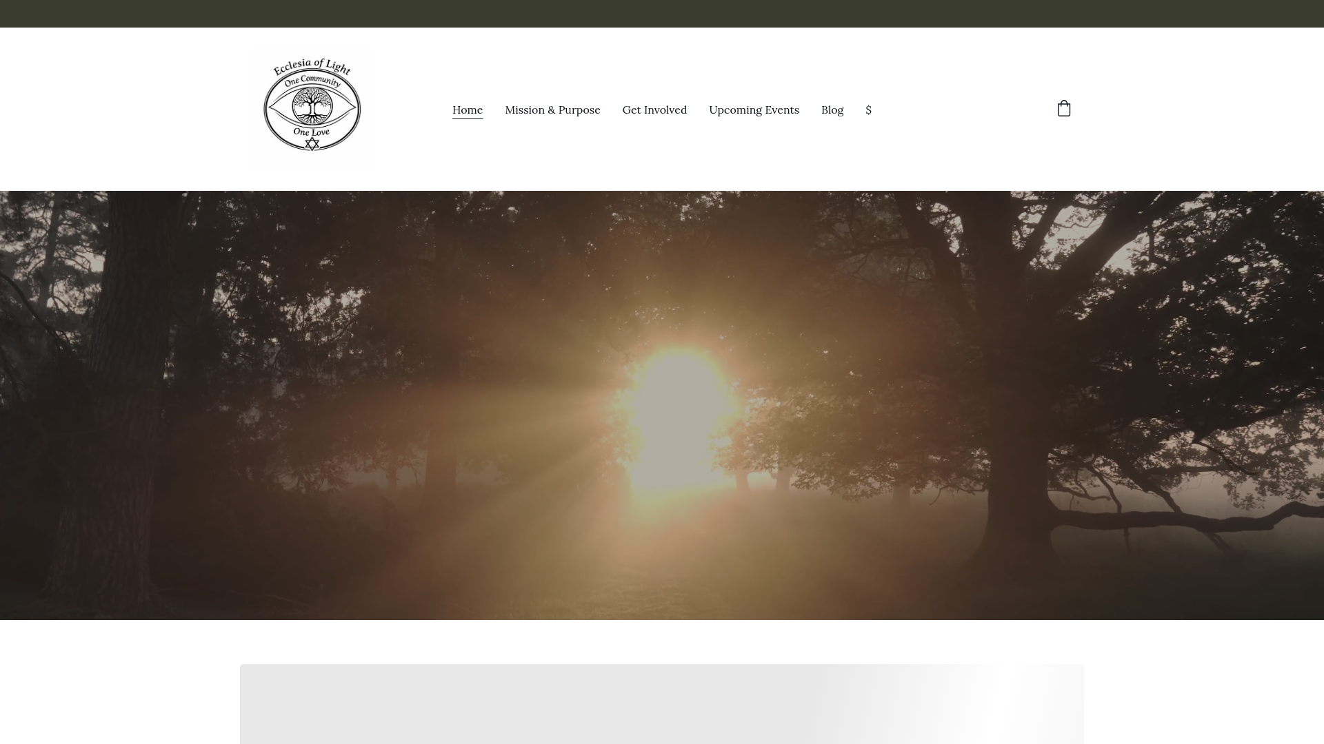website screenshot of https://ecclesiaoflight.org