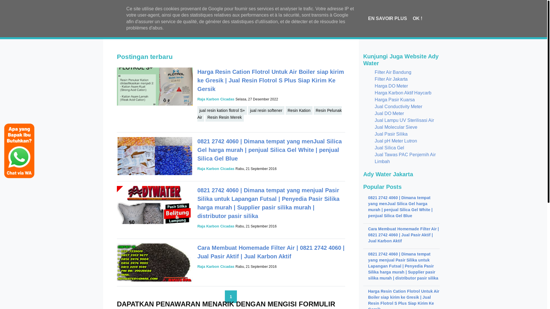 website screenshot of https://pasirgarnet.id/