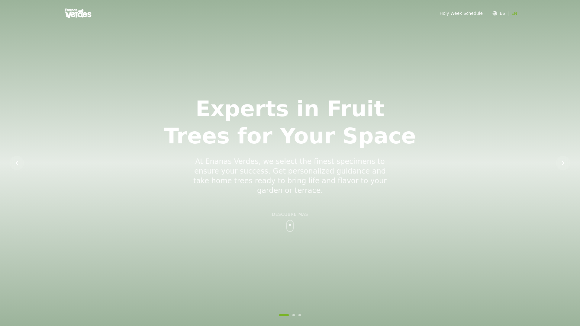 website screenshot of https://enanasverdes.com/